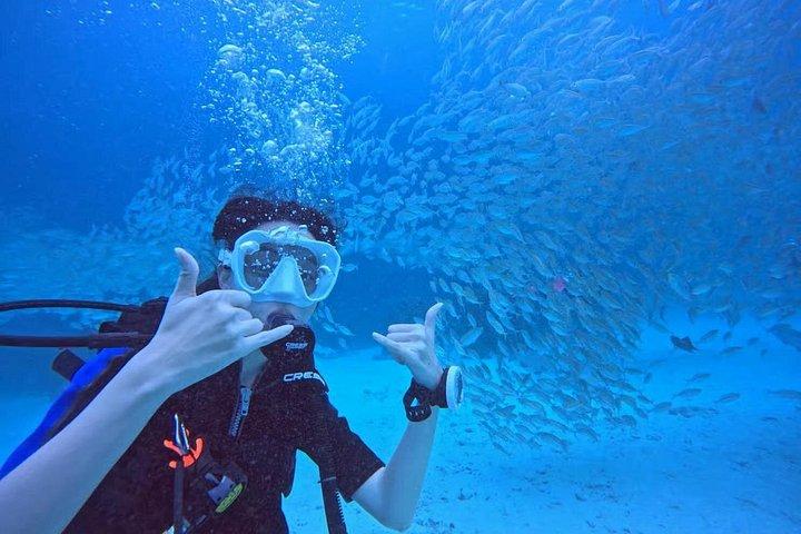 プーケットラチャPADIディスカバースキューバダイビング2ダイブとGoPro