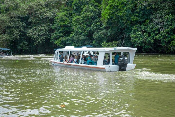 Fauna & Vie d'acqua : Jaguar Rescue & Tortuguero Canals Tour