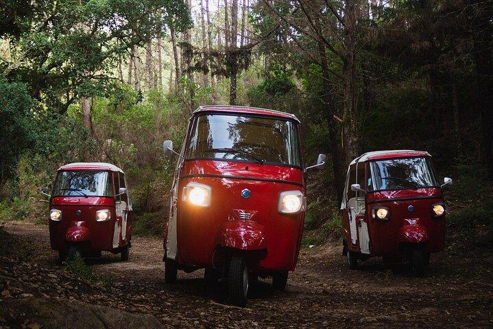 Das Beste von Sintra, Private Tuk Tuk Tour