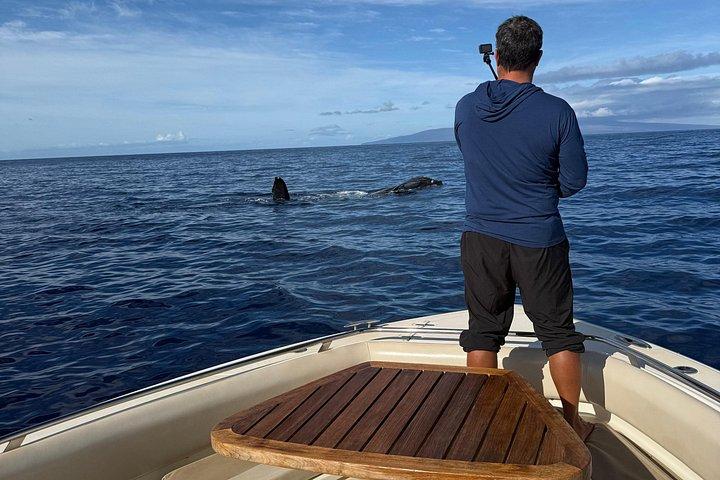 Maui Intimate Luxus Motorboot Private Charter