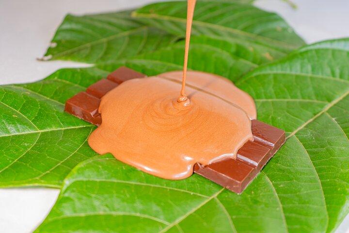 Tour en Español de Café y Chocolate North Fields
