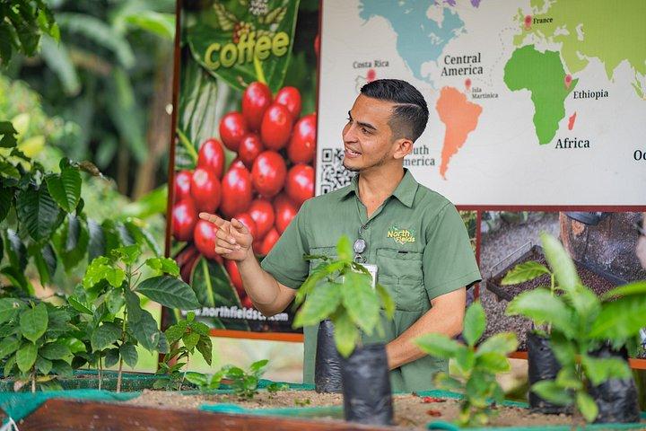 Authentic Coffee and Chocolate Tour at North Fields