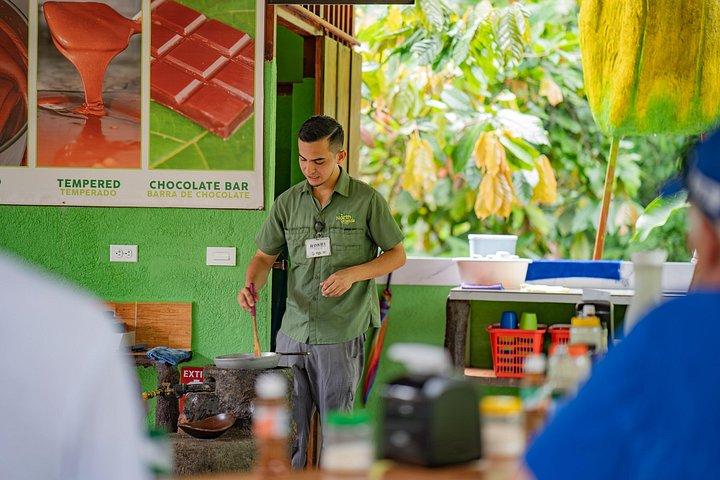 Authentic Coffee and Chocolate Tour at North Fields