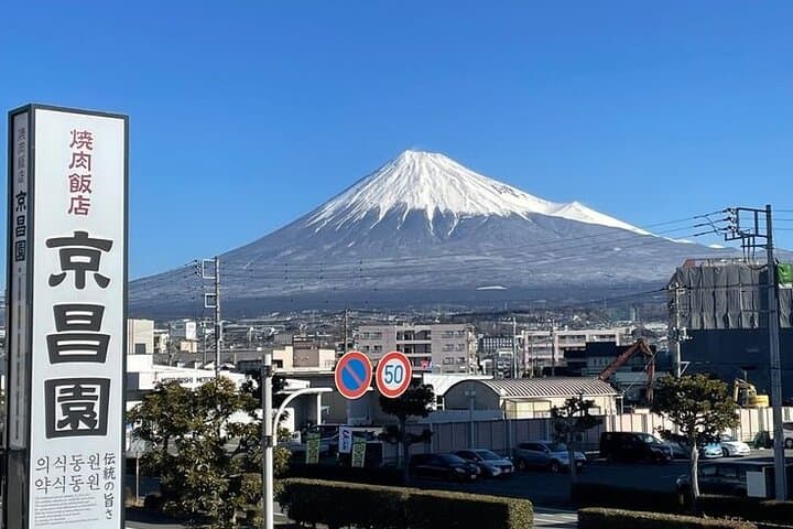 Tokyo to Mount Fuji Private Guided Experiences