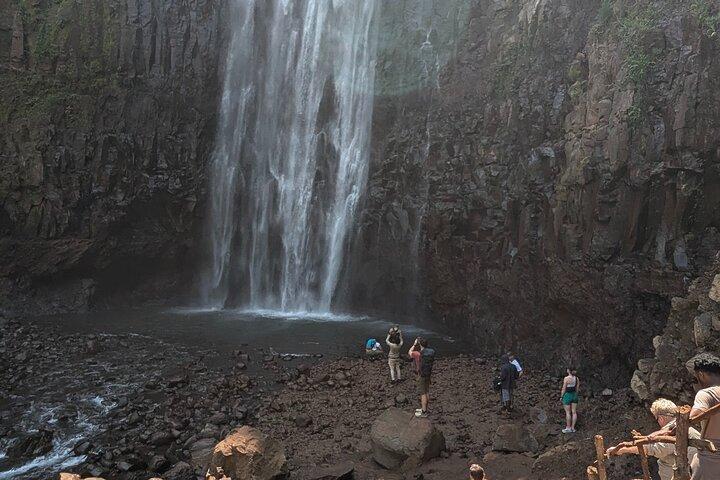 Excursion en ville et cascade et kikuletwa hotspring day trip
