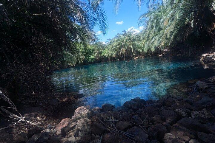 Excursion en ville et cascade et kikuletwa hotspring day trip