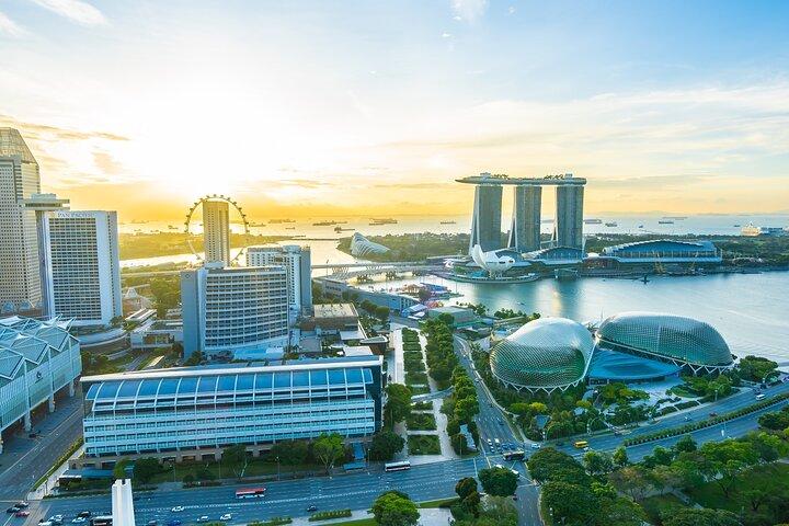 Privater Transfer vom Flughafen Singapur