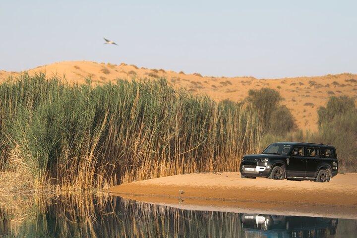 Dubai : Luxury Morning Desert Conservation Drive