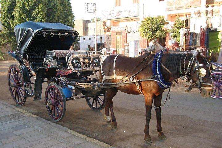 Visite à pied nocturne du Caire , calèche et tour du Caire