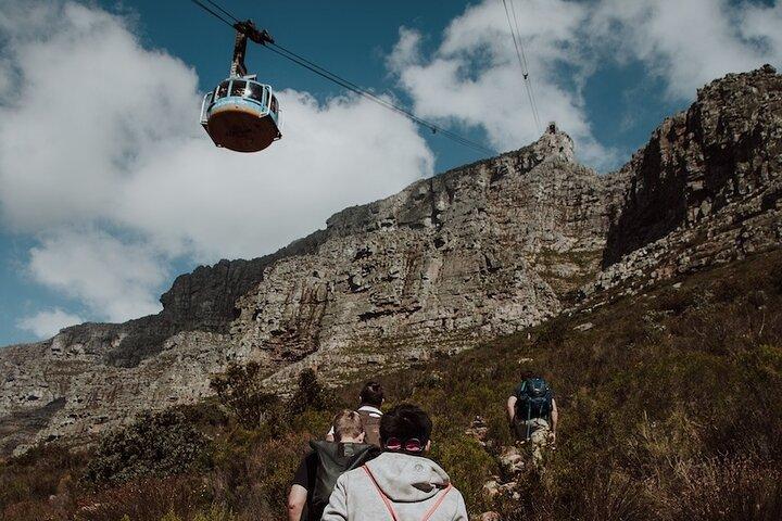 Cape Town: Platteklip Gorge Hike Cable Car down Table Mountain