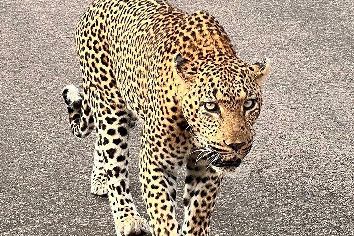 Hotéis em Kruger Park Sunset Drive