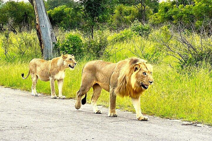 Hotéis em Kruger Park Sunset Drive
