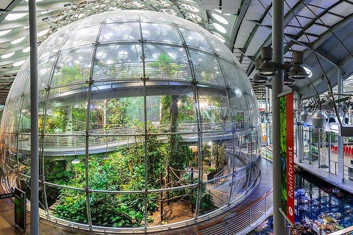 California Academy of Sciences General Admission Ticket