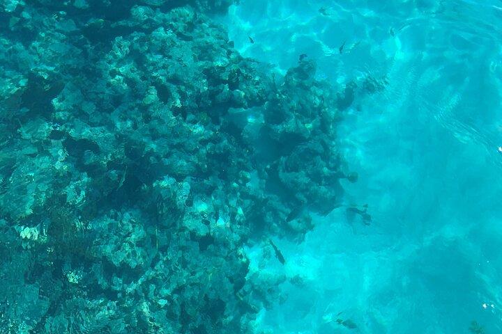 Marathon : COMBO - Snorkel & Sandbar (Sombrero Reef)