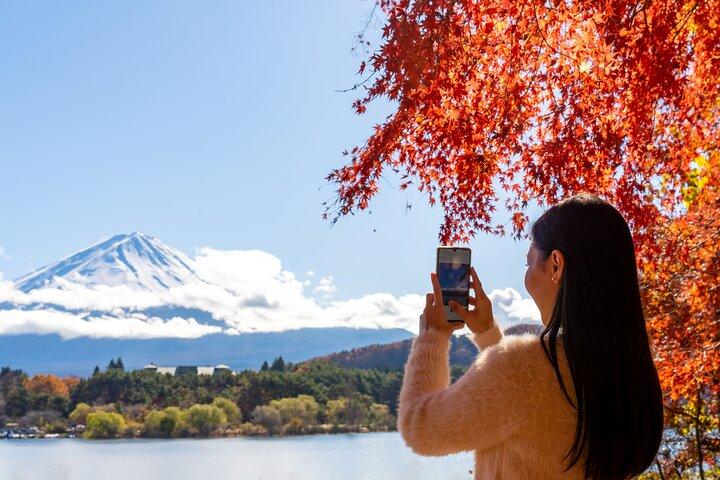 Mt. Fuji Highlight Photo Spots One Day Tour from Tokyo