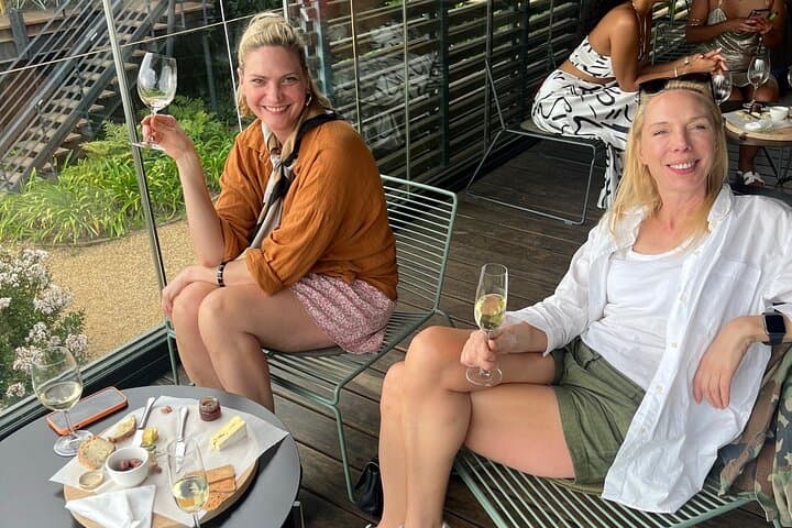 Private/Personalized Full Day Wine Tasting Tour Cape Winelands