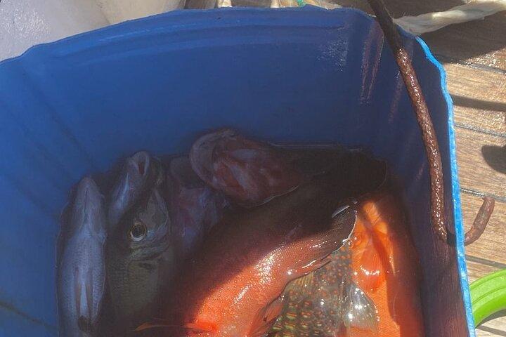 Fuld dag fiskeri og snorkling eventyr med frokost
