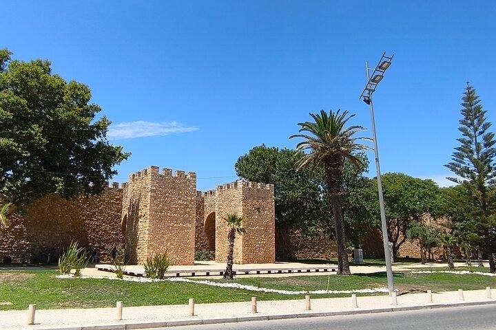 Profitez de la visite privée au château de Silves, Lagos et Ponta da Piedade