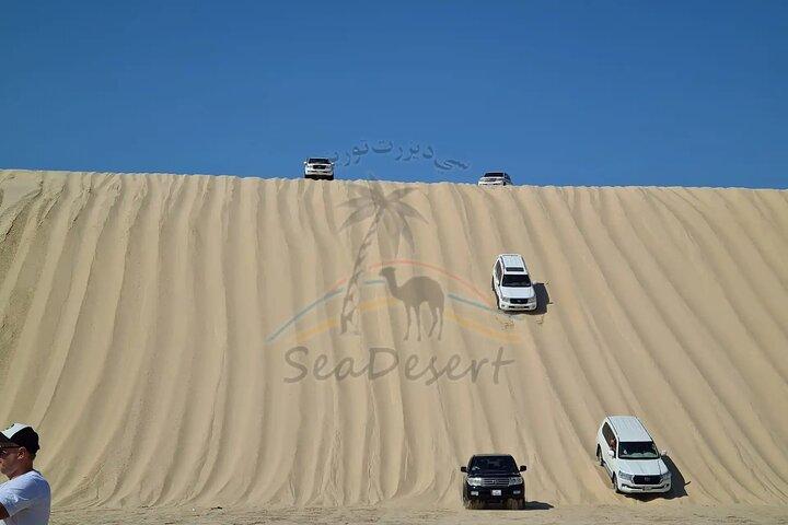 Doha Half-Day Desert Safari : Camellos, Quads & Dune Rush