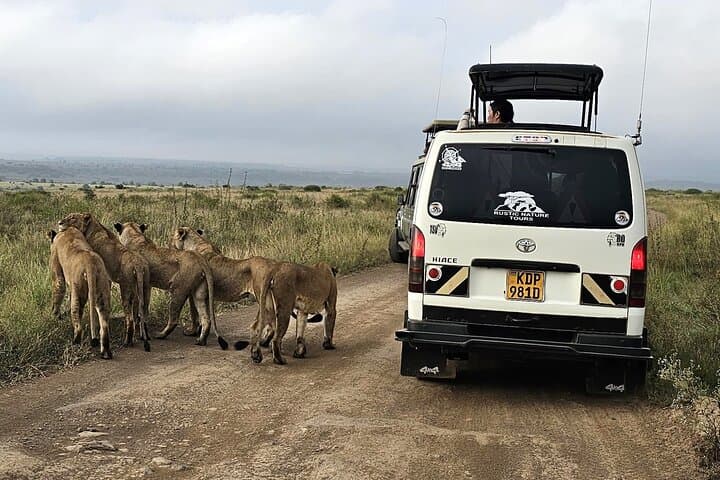 Nairobi's Wild Safari, Elephant Orphanage & Giraffe Centre