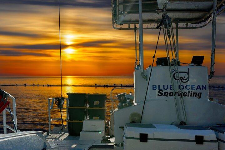Tour de buceo con tortuga Waikiki 6 actividades +& crucero al atardecer