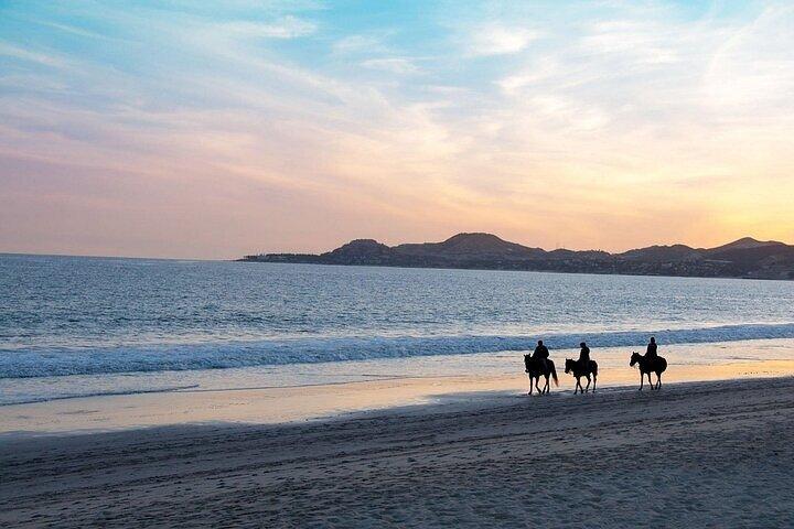 1 hora de passeio a cavalo na praia de Nabq Bay e transfers–Sharm El Sheikh