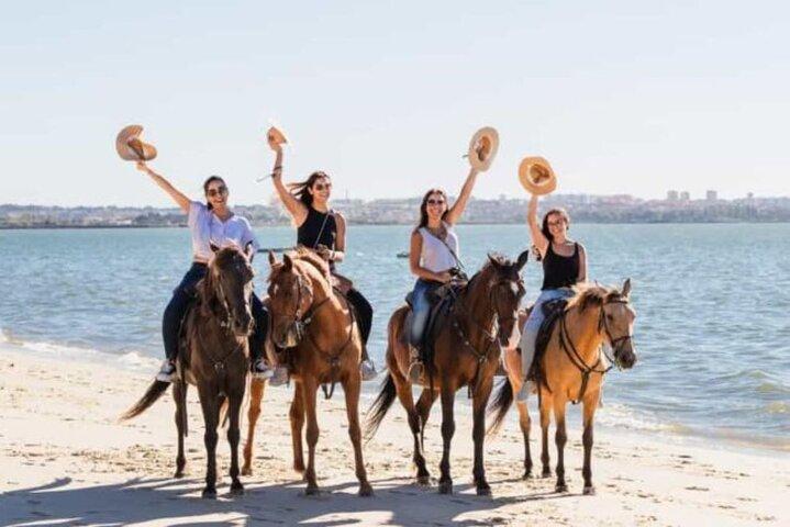 2 Horas de passeio a cavalo na praia de Nabq Bay e transfers–Sharm El Sheikh