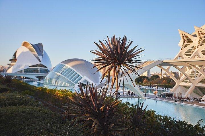 Excursión privada en tierra a Valencia Ciudad Destacados y panorámica