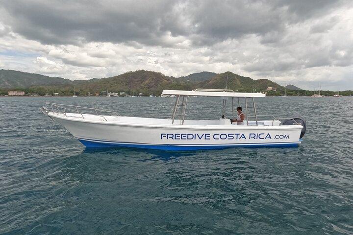 Individuelle private Bootstour mit Schnorcheln in Catalinas & vielem mehr