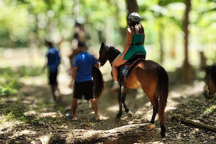 Roatán Jungle Équitation et évasion sur la plage
