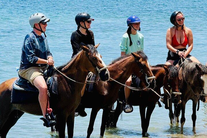 Roatán Jungle Équitation et évasion sur la plage