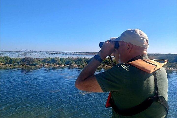 Kort naturtur i Ria Formosa naturpark