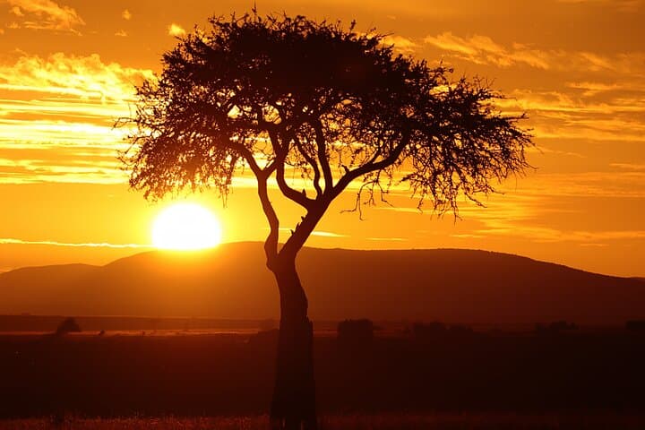 Maasai Mara 3 Day Safari Adventure