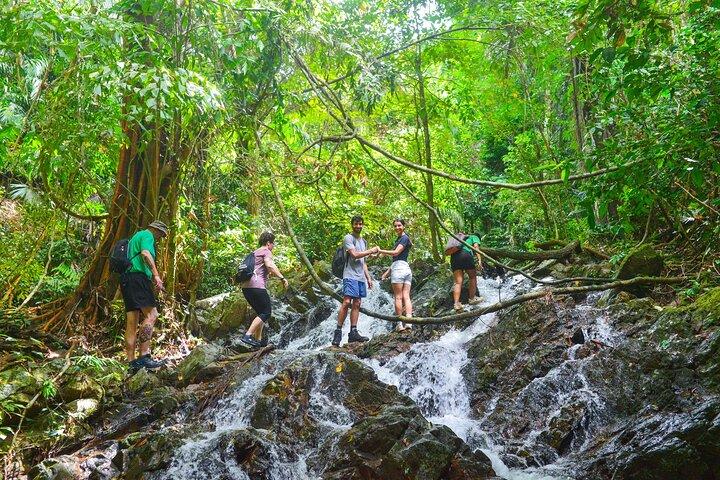 Parque Nacional Phuket Khao Phra Taew Jungle Trek y Cascadas