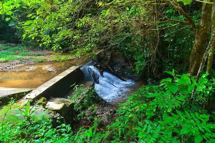 プーケット・カオ・プラトー国立公園ジャングル・トレックと滝