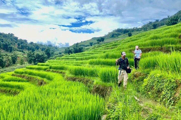 Sapa Adventure Trek Ethnic Villages, Stunning Terraced Landscapes