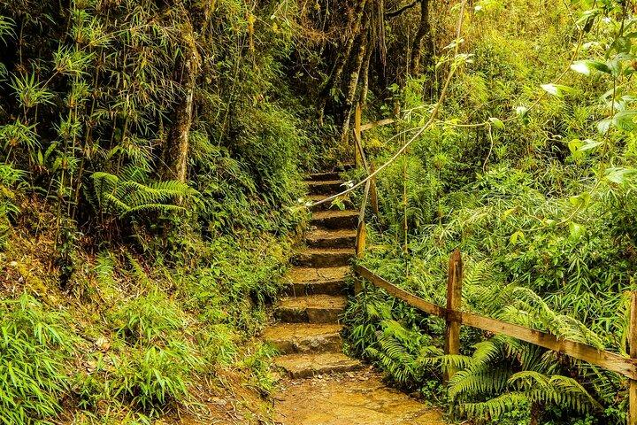 VIP Salt Cathedral & Lake Guatavita Tour from Bogota, 12hr