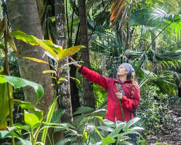 Tour Pantropicale del Santuario Forestale di Kona Cloud (1,5 ore)