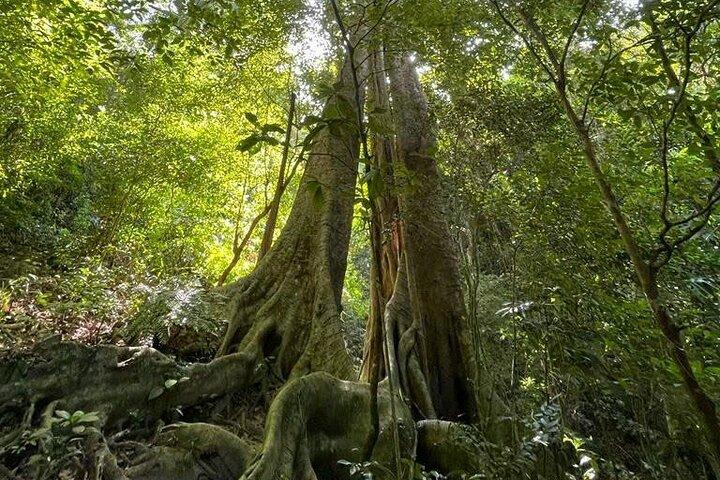 The Hidden Trails of Cat Ba
