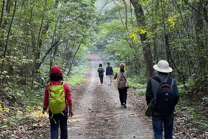 The Hidden Trails of Cat Ba