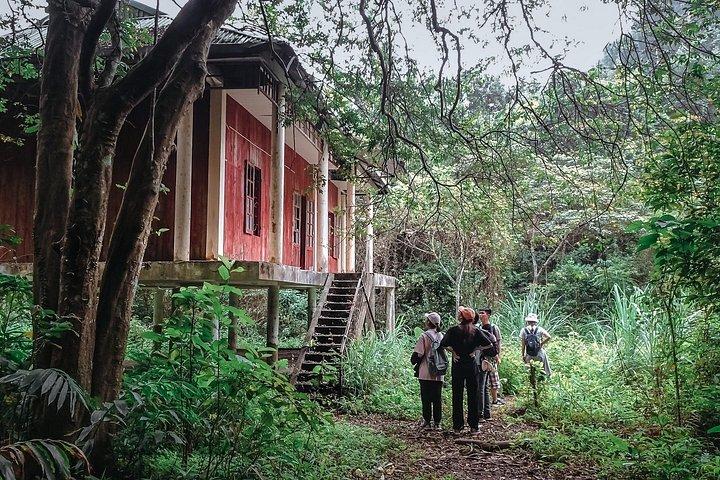 The Hidden Trails of Cat Ba