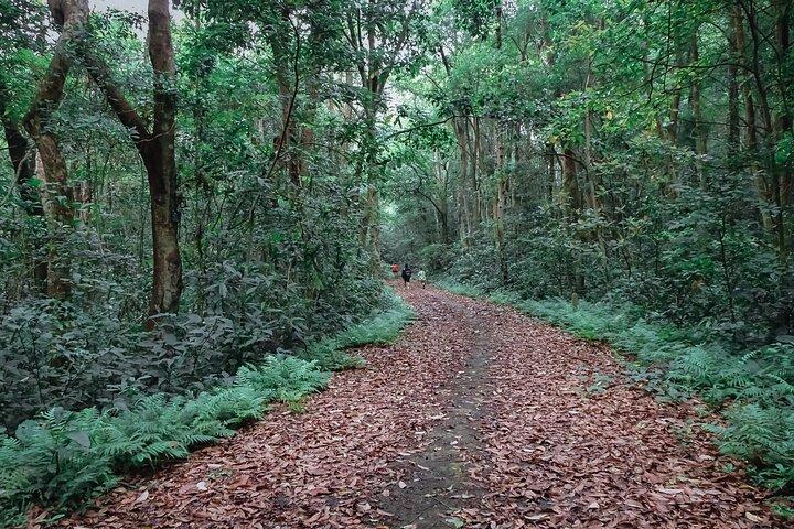 The Hidden Trails of Cat Ba