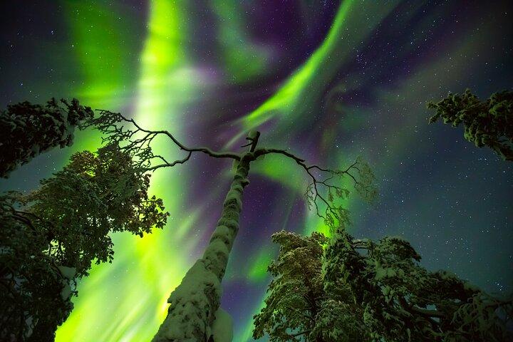 Northern Lights Hunt & Fotografie-ervaring