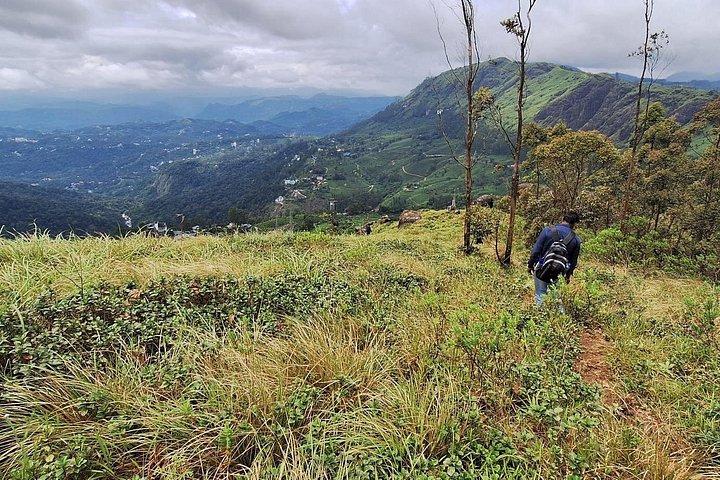 Green Magic-Tagestour nach Munnar