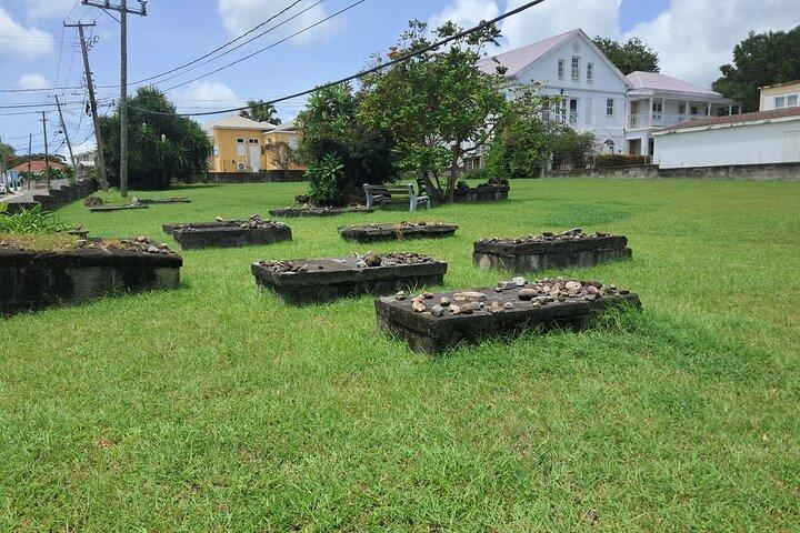 Nevis Island historiske private tur