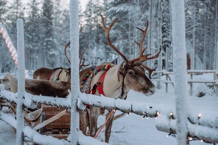 Hoteller i nærheden af Santa Claus' Village & Reindeer Experience