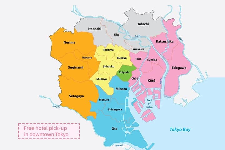 Tokyo City Cherry Blossom Private Sightseeing Tour
