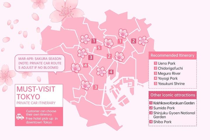 Tokyo City Cherry Blossom Private Sightseeing Tour