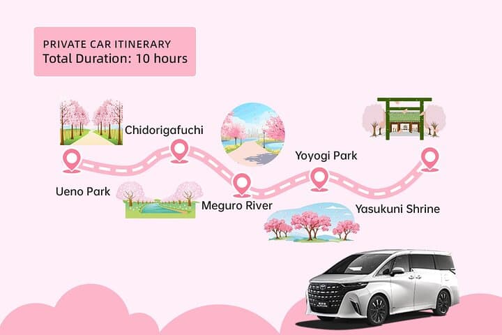 Tokyo City Cherry Blossom Private Sightseeing Tour