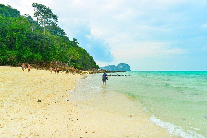 プーケットからピピ島＆アイランズへの豪華スピードボート終日クルーズ